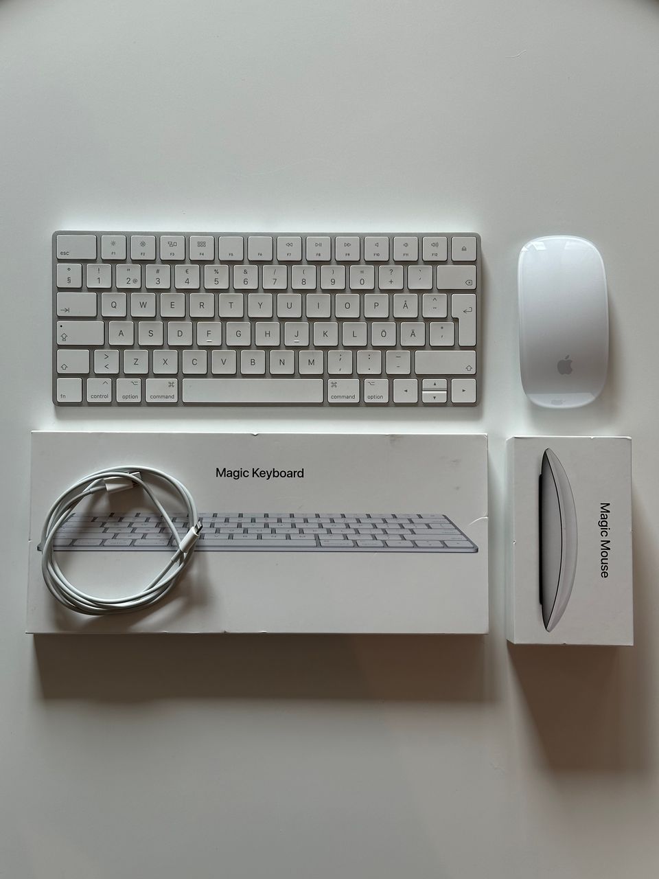 Apple Magic Keyboard + Magic Mouse