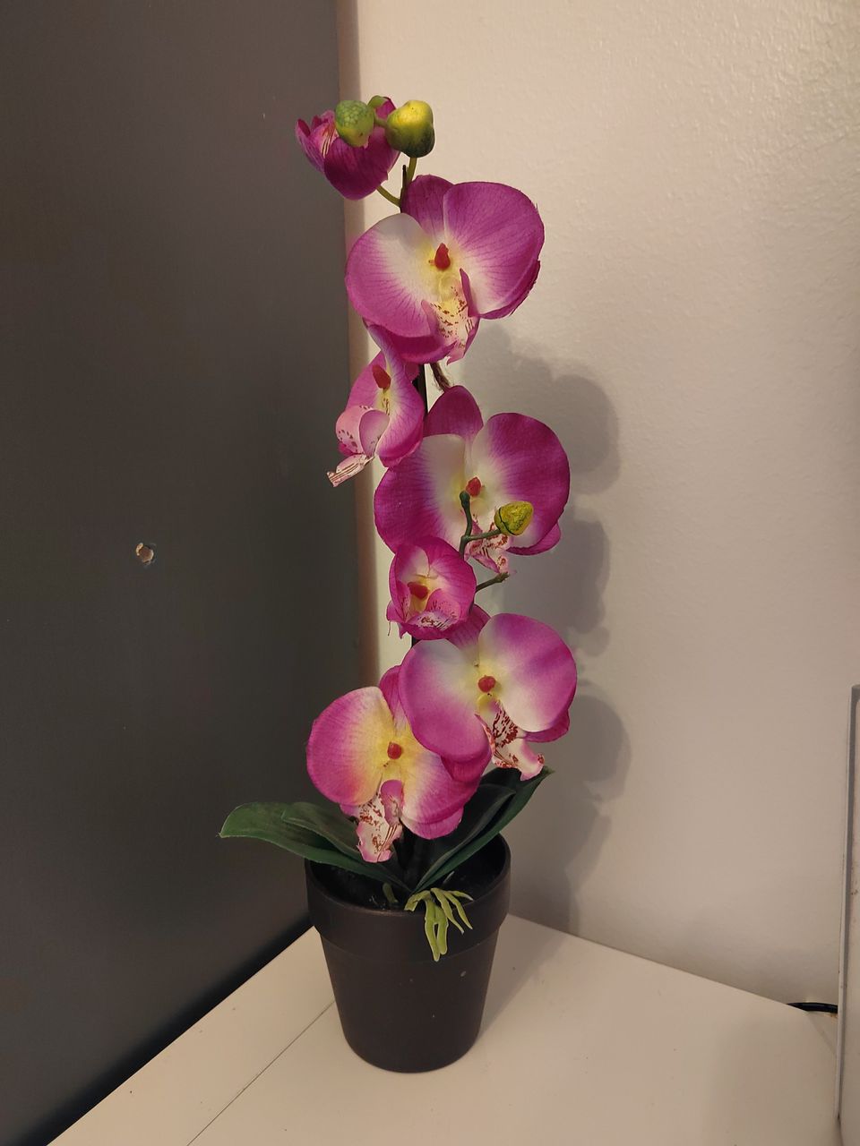 Teko Orkidea