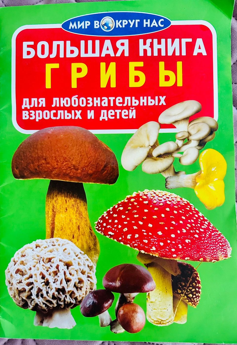 Книга о грибах. На русском языке.