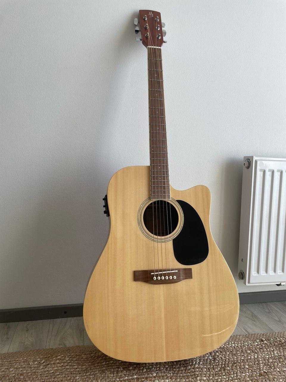 Harley Benton Guitar