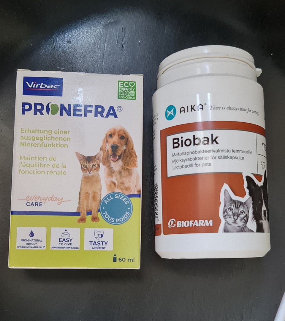 Bronefra ja Biobak
