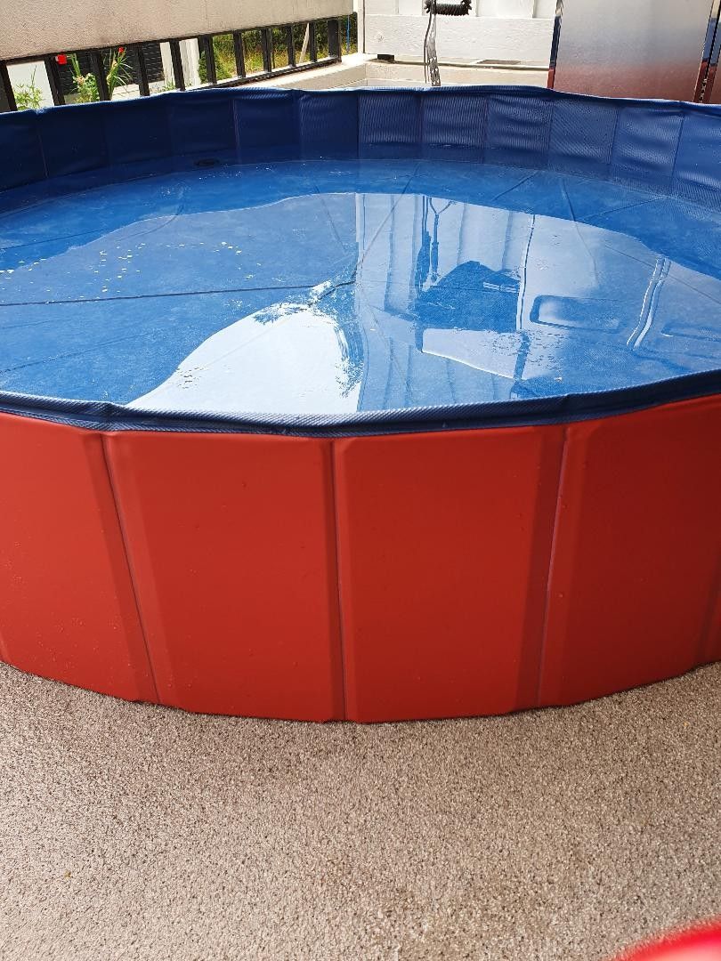 Toddler Swimming Pool.