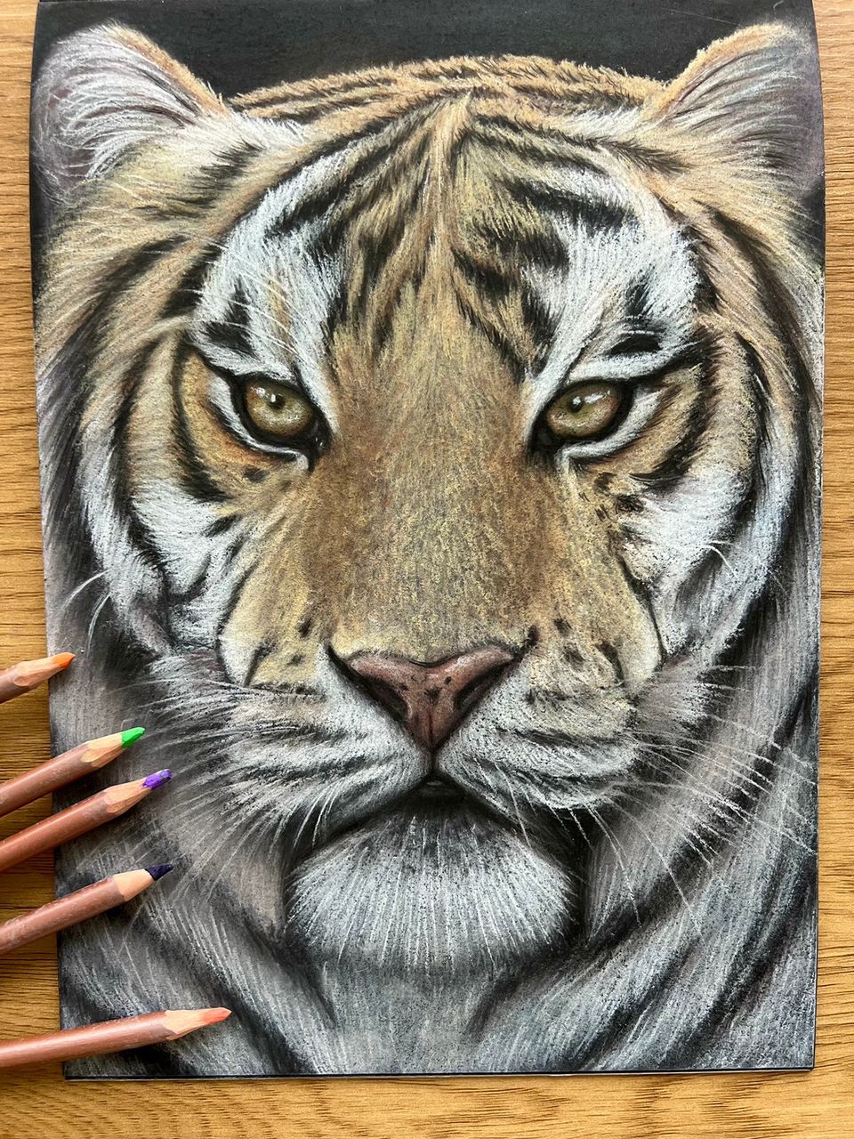 Pastel piirustus tiikeristä