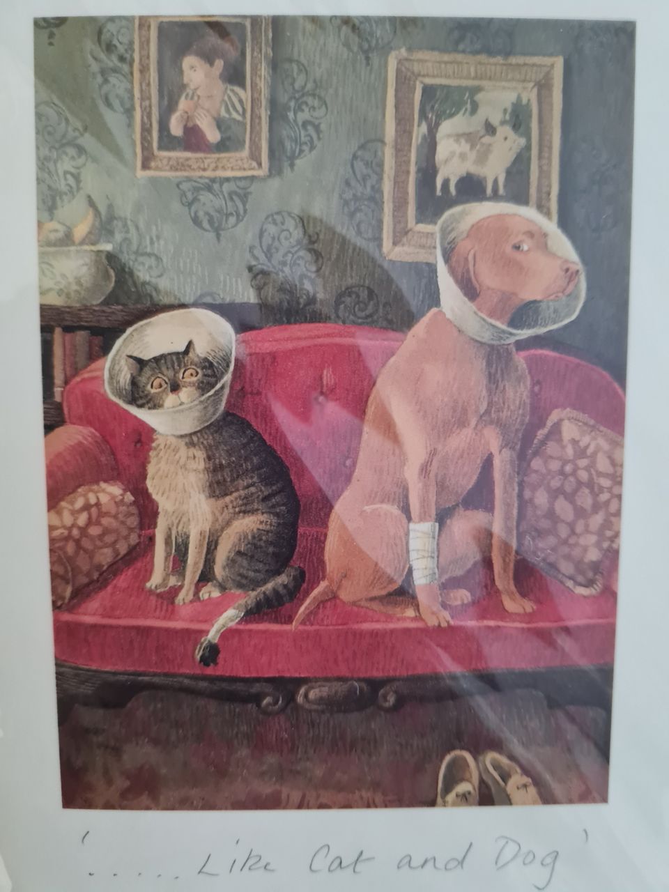 Cat and dog -kirjekuori ja kortti