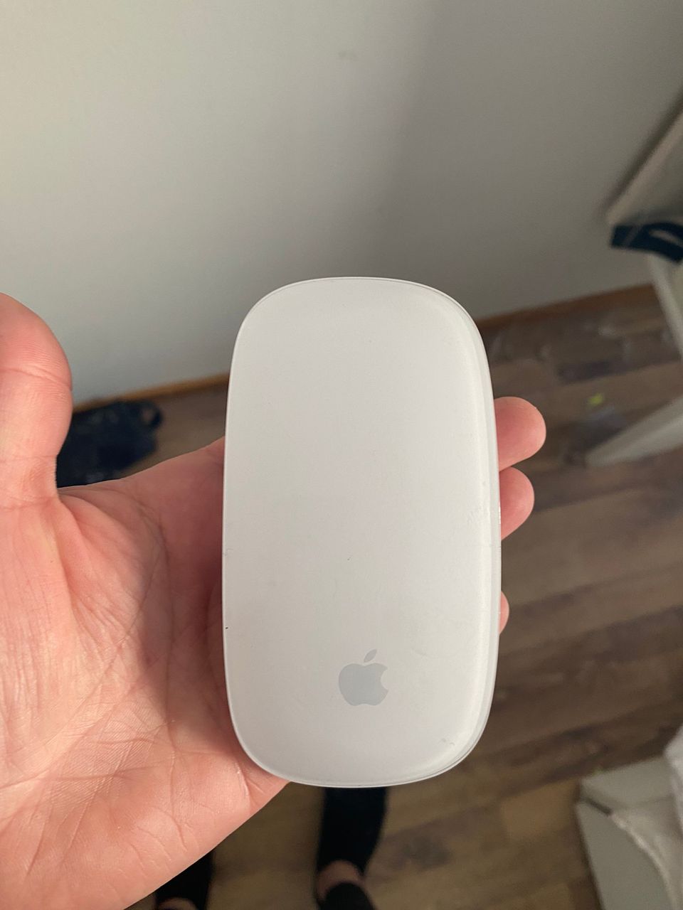 Apple magic mouse