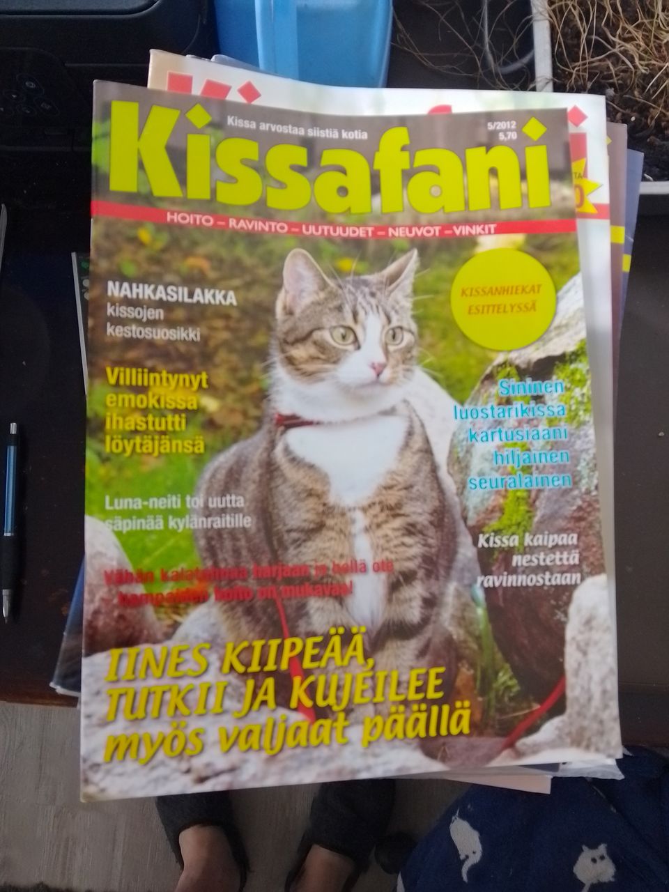 Kissafani lehtiä