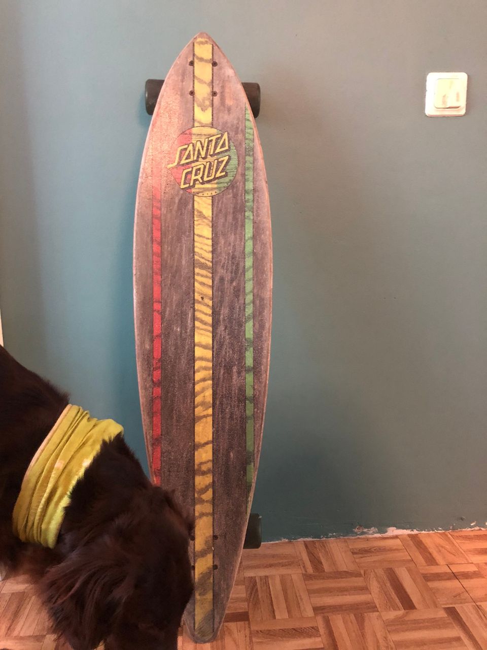 Santa Cruz pintail longboard