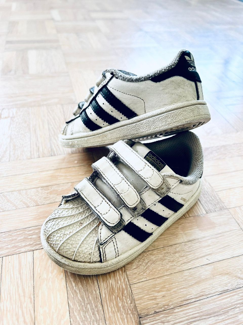 Adidas Superstar, koko 25