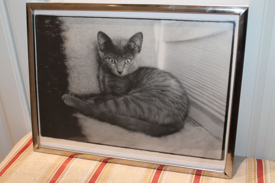 Metalli kehykset harmaa raidallinen maatiais kissa taulu 41x31 cm vanha
