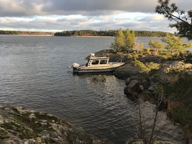 Teollisuuden koneet, työkoneet, laitekokonaisuudet