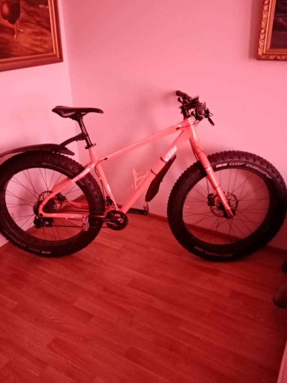 KTM Fatbike