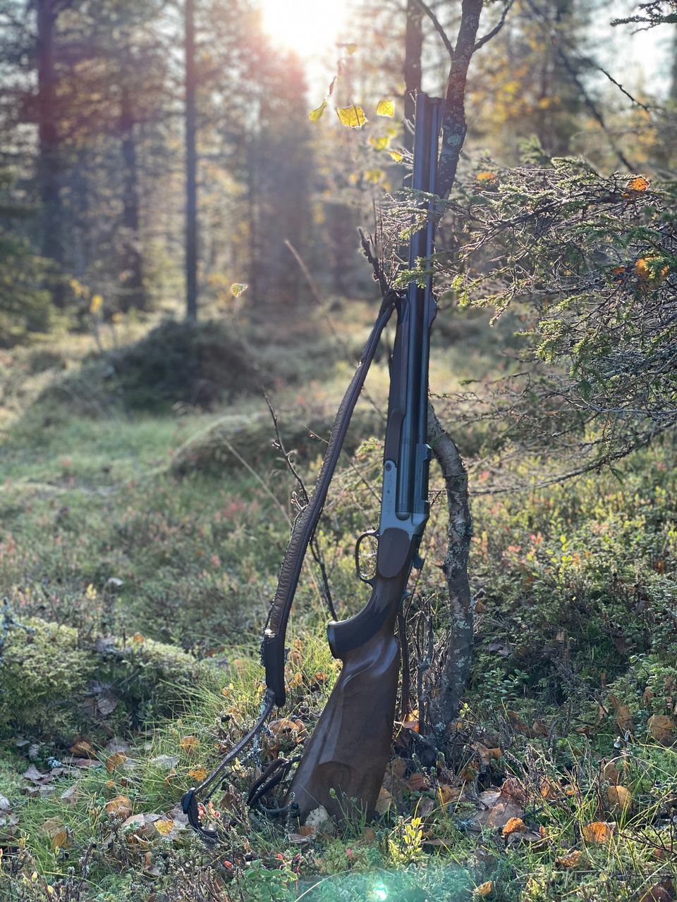 Blaser D99