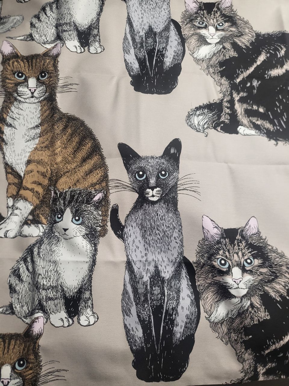 Vallila kangas Kitties. 2m*tl