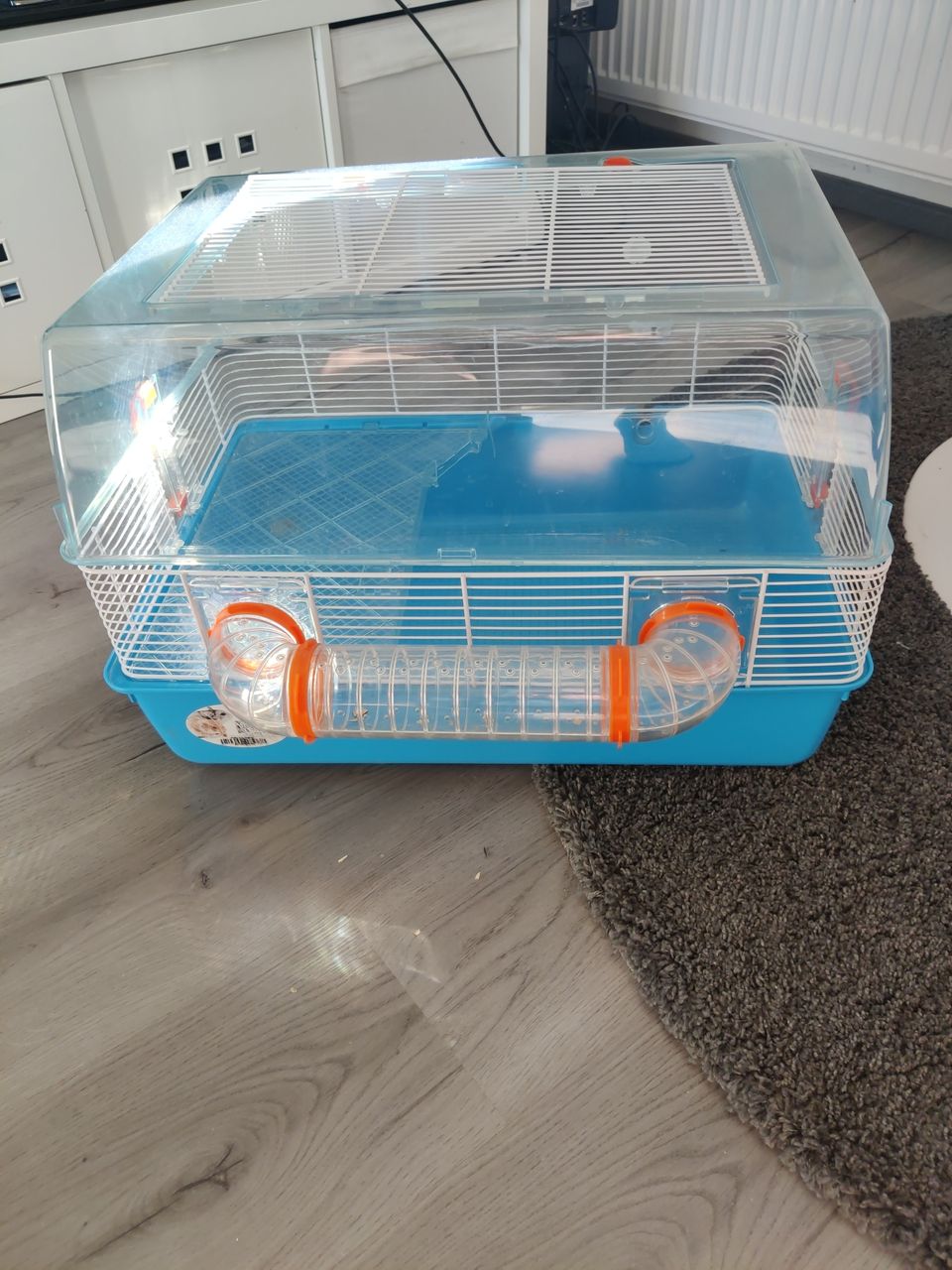 Hamsteri koti