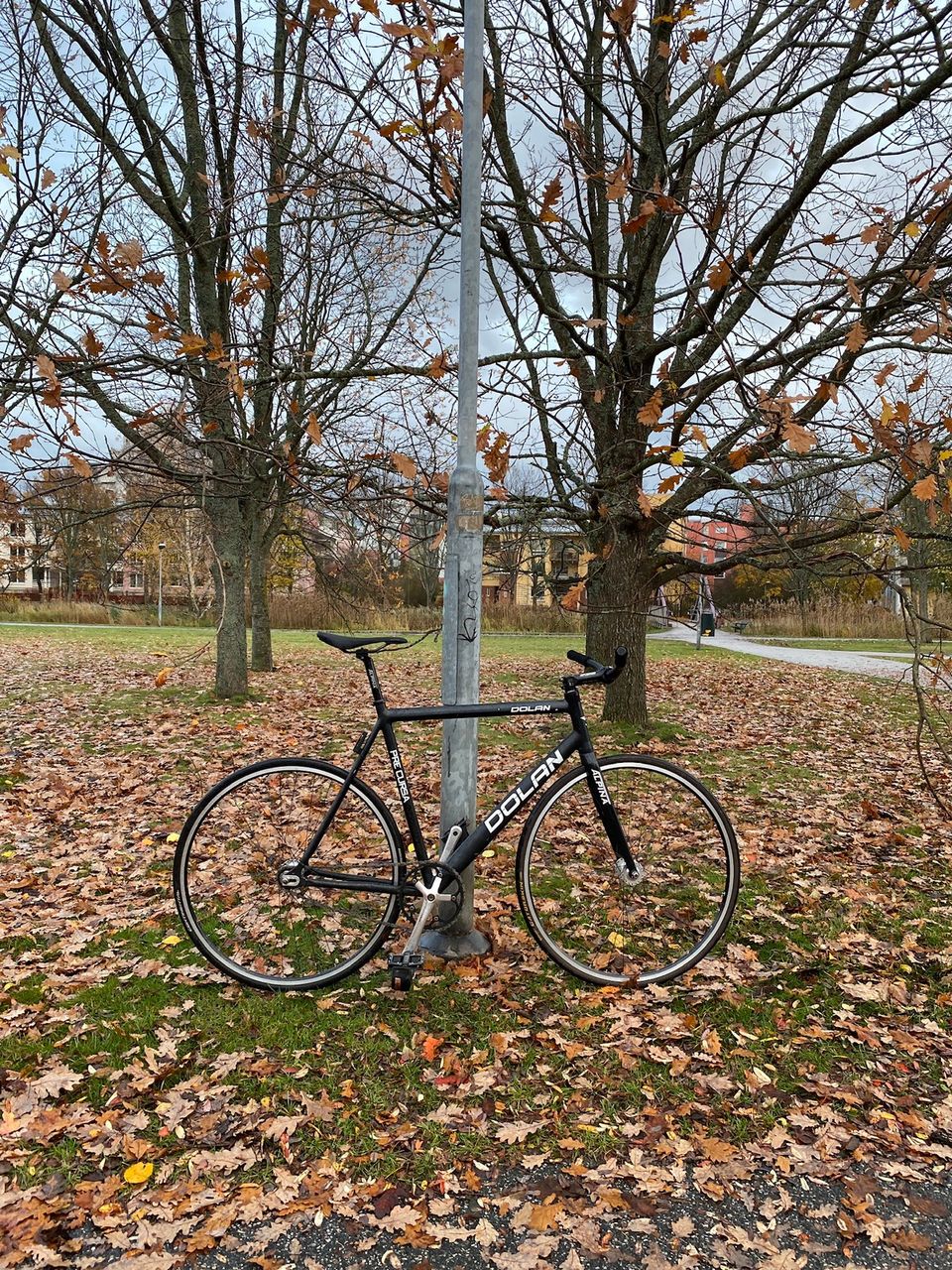 Dolan pre cursa fixed gear