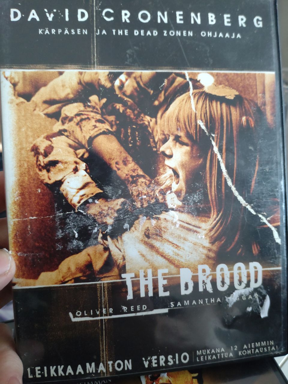 The brood