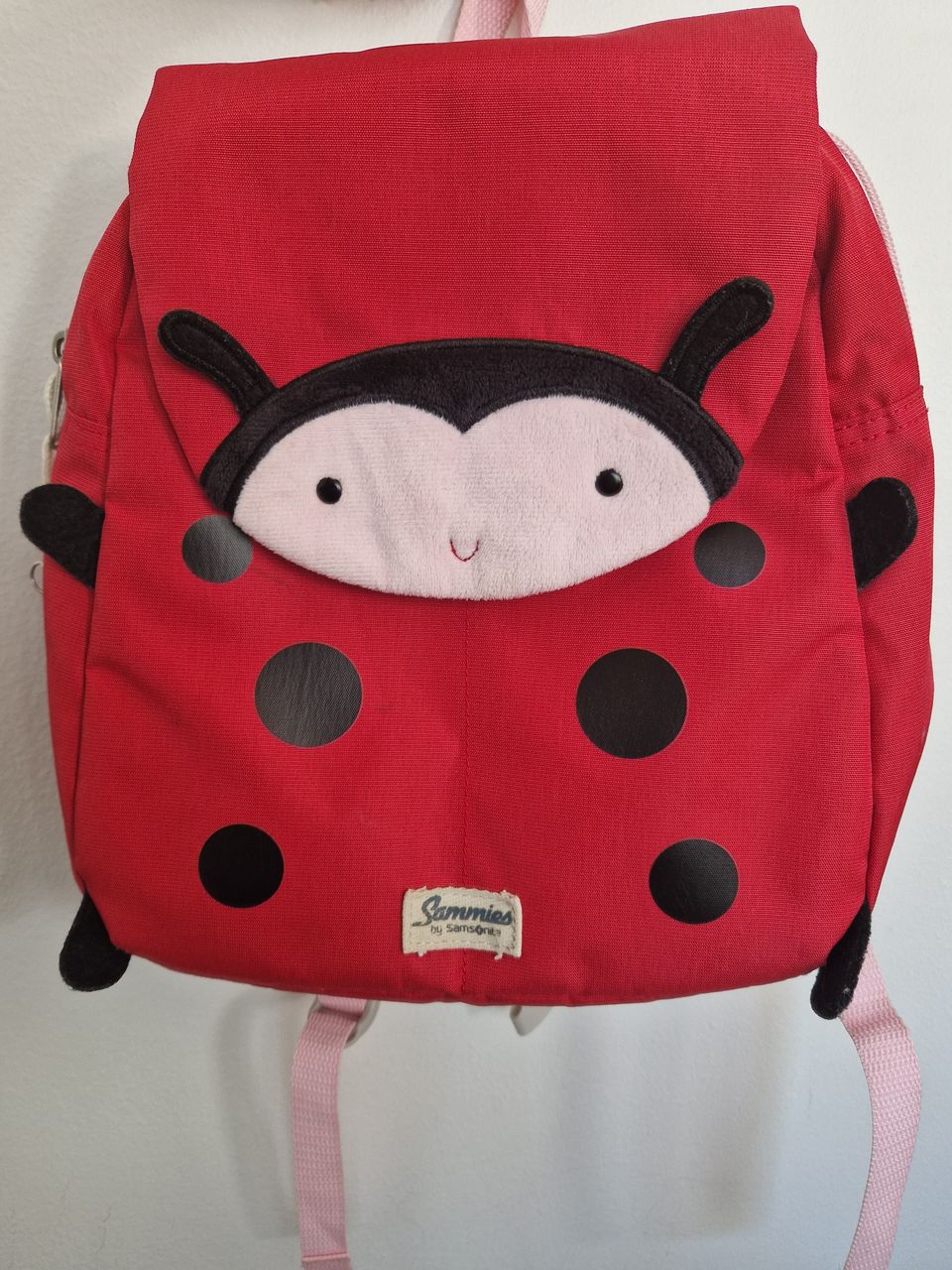 Reppu Ladybug