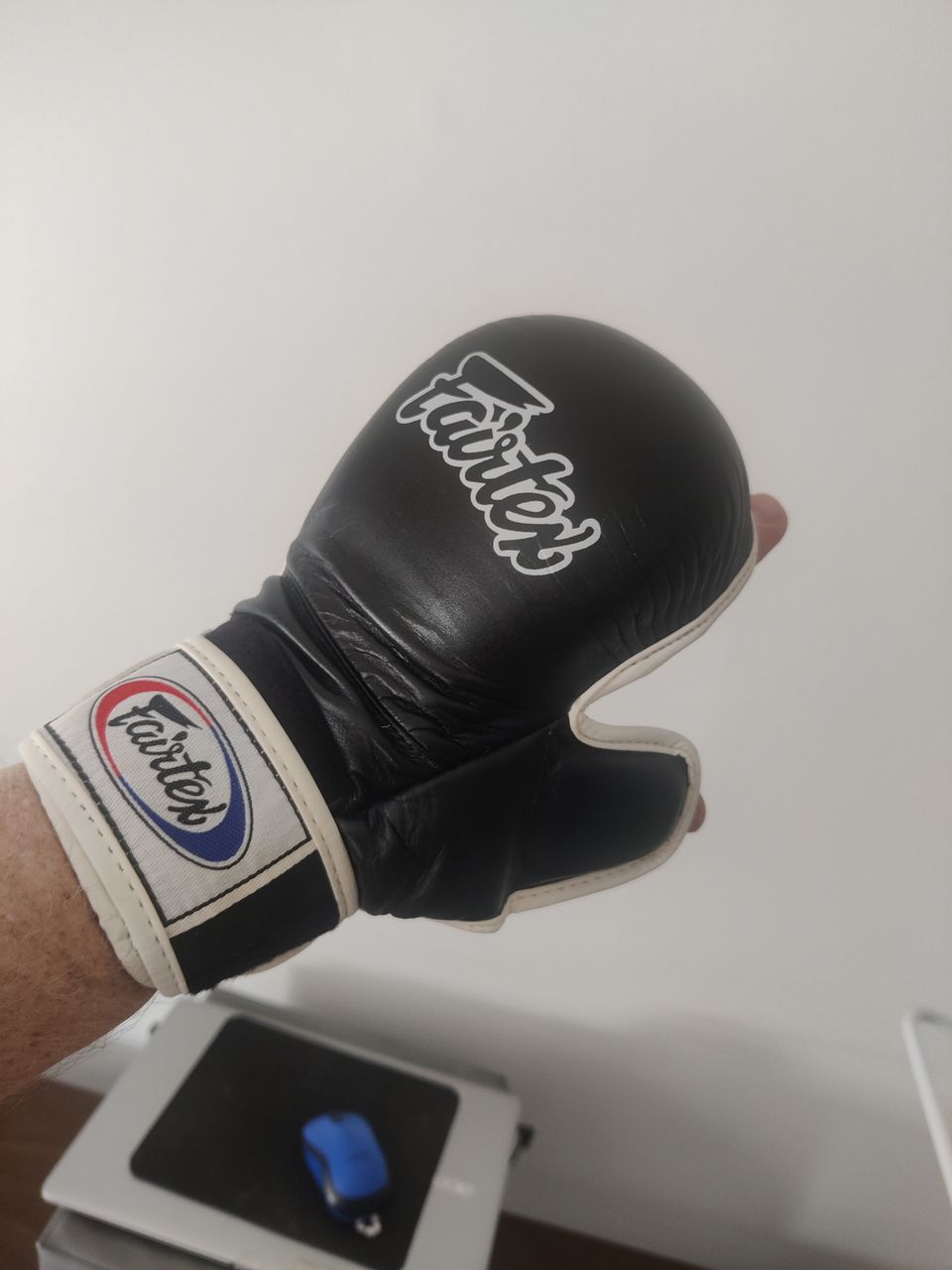 Kamppailuhanskat Fairtex