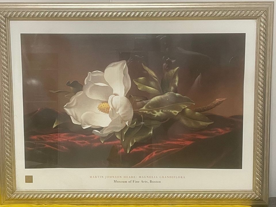 Magnolia Grandiflora jäljennös Martin Johnson Heade