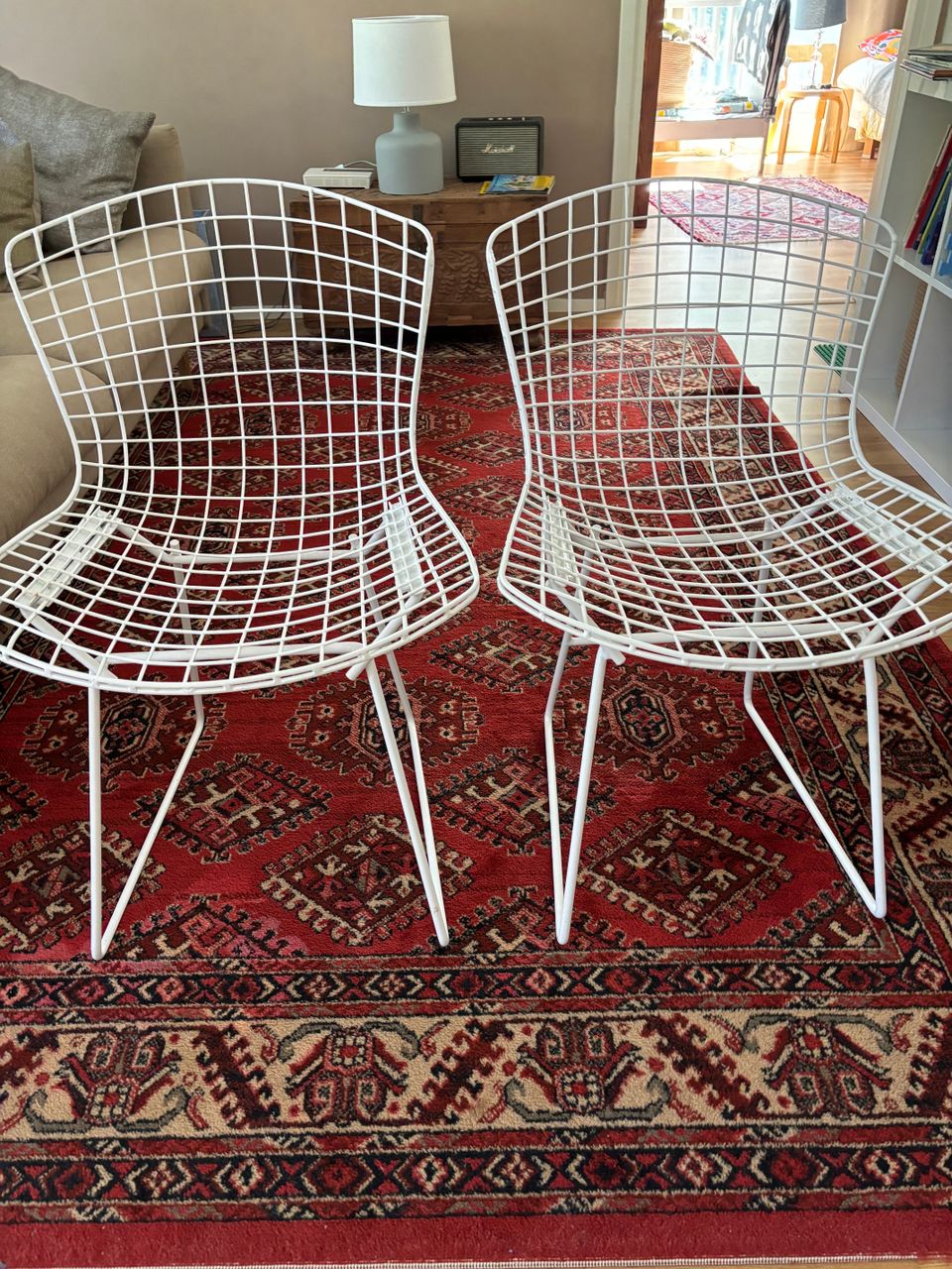 Kaksi Bertoia -tuolia
