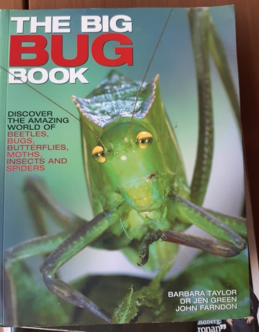 The Big Bug Book