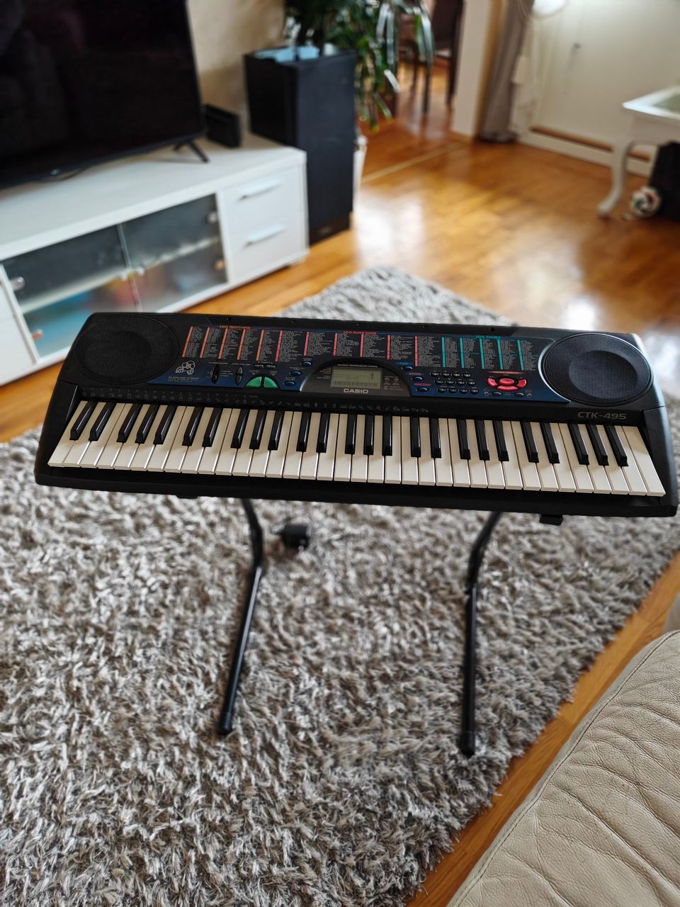 Casio CTK-495