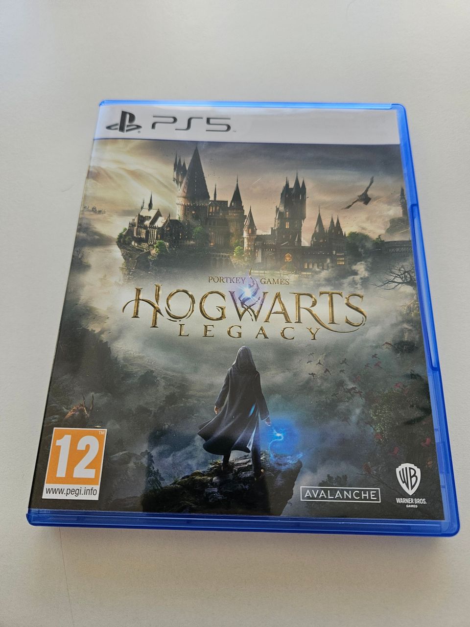 Hogwarts Legacy (Playstation 5)