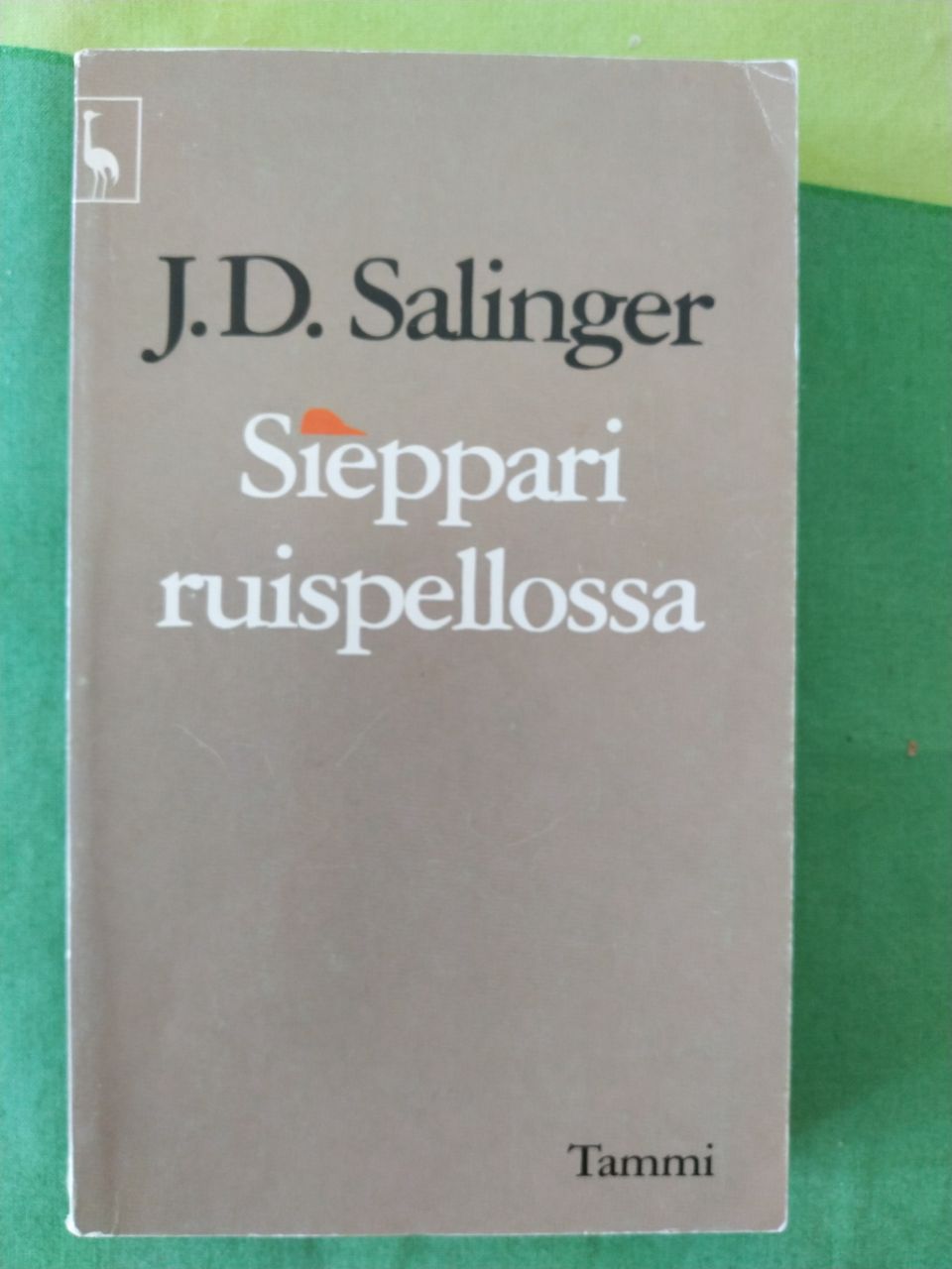 Salinger: Sieppari ruispellossa