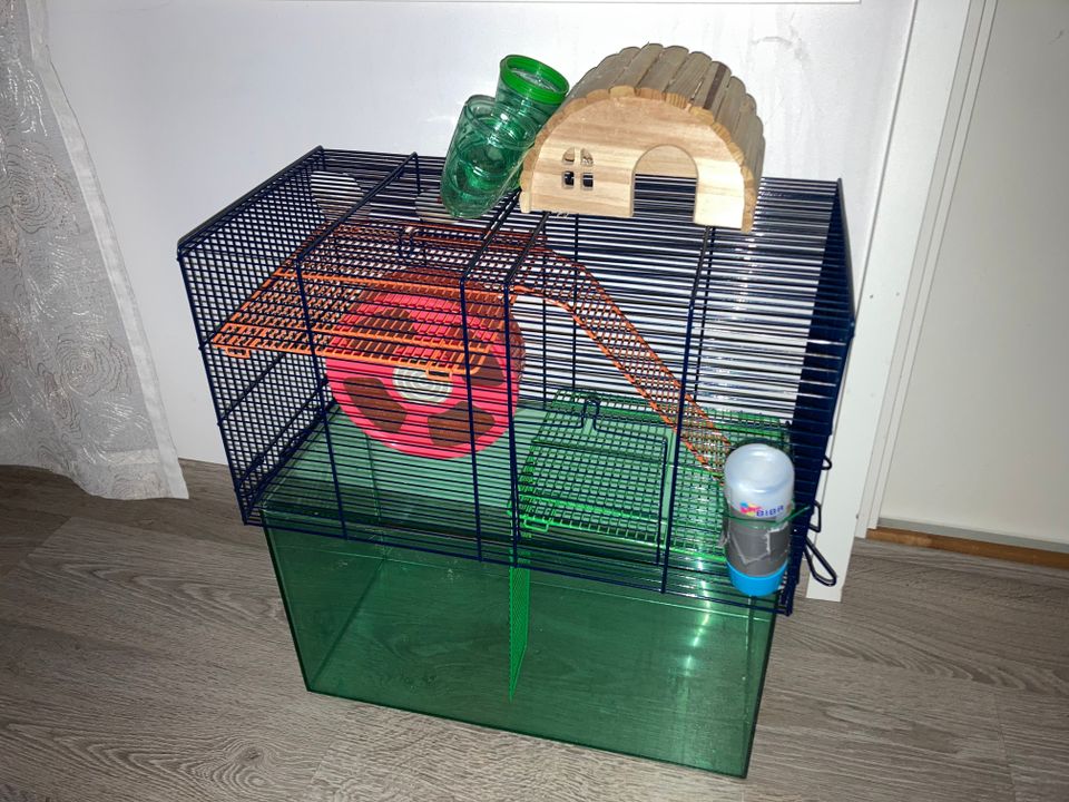 Hamsterin häkki