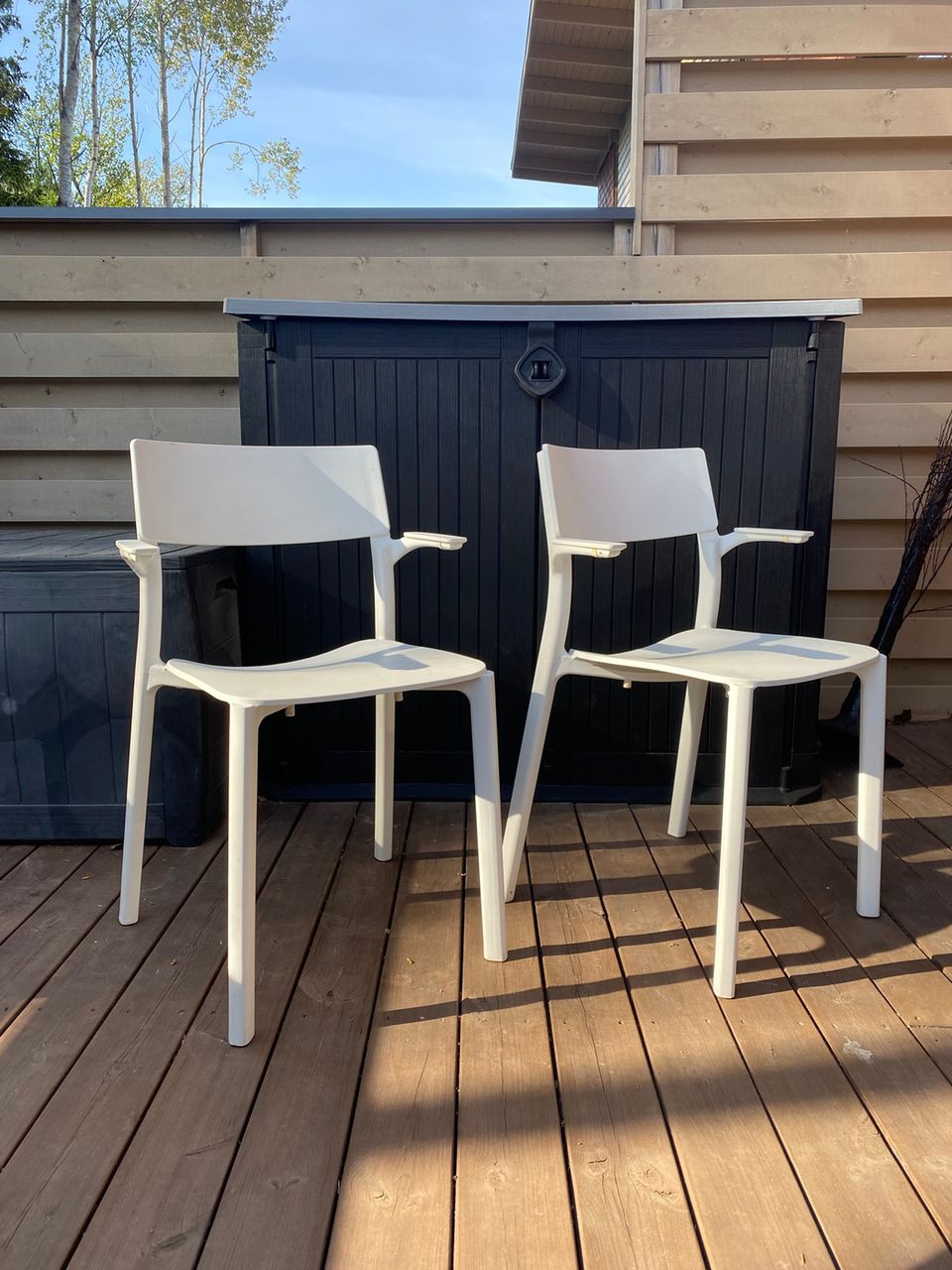 Ikea Janinge käsinojallinen tuoli 2 kpl