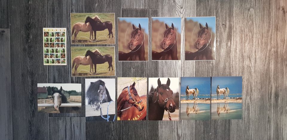 Hevonen postikortteja.