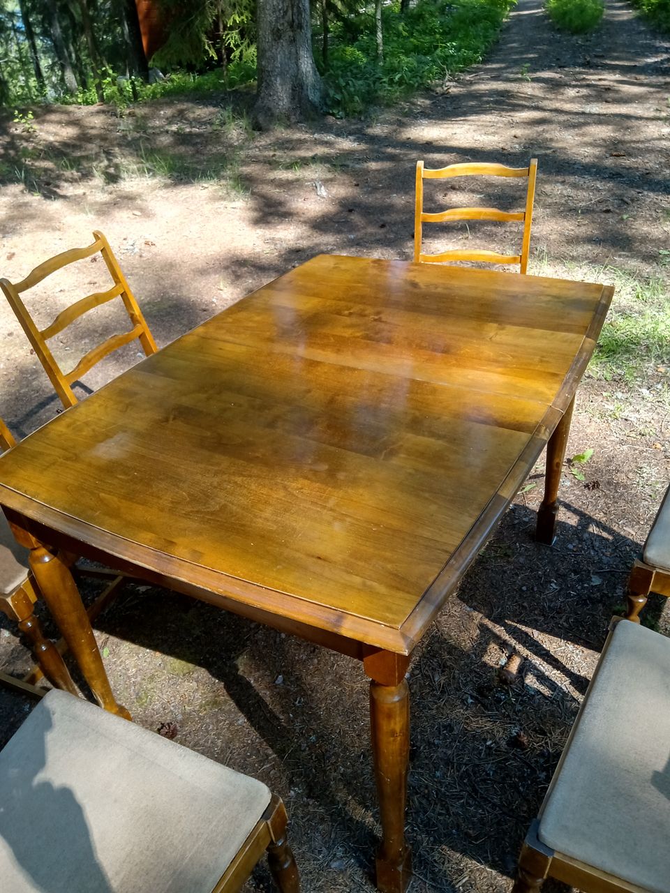 Pöytä ja 6 tuolia+ jatkopalat