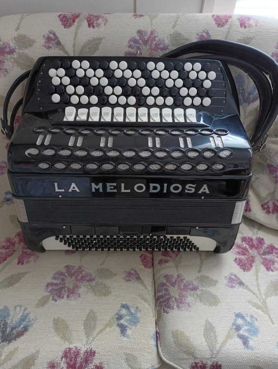 La Melodiosa Harmonikka