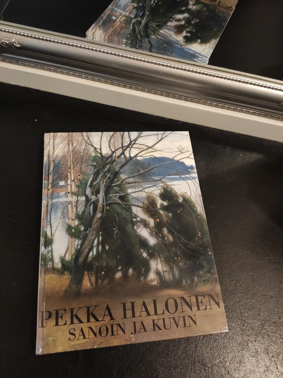 Pekka Halonen kuvin ja sanoin taidekirja
