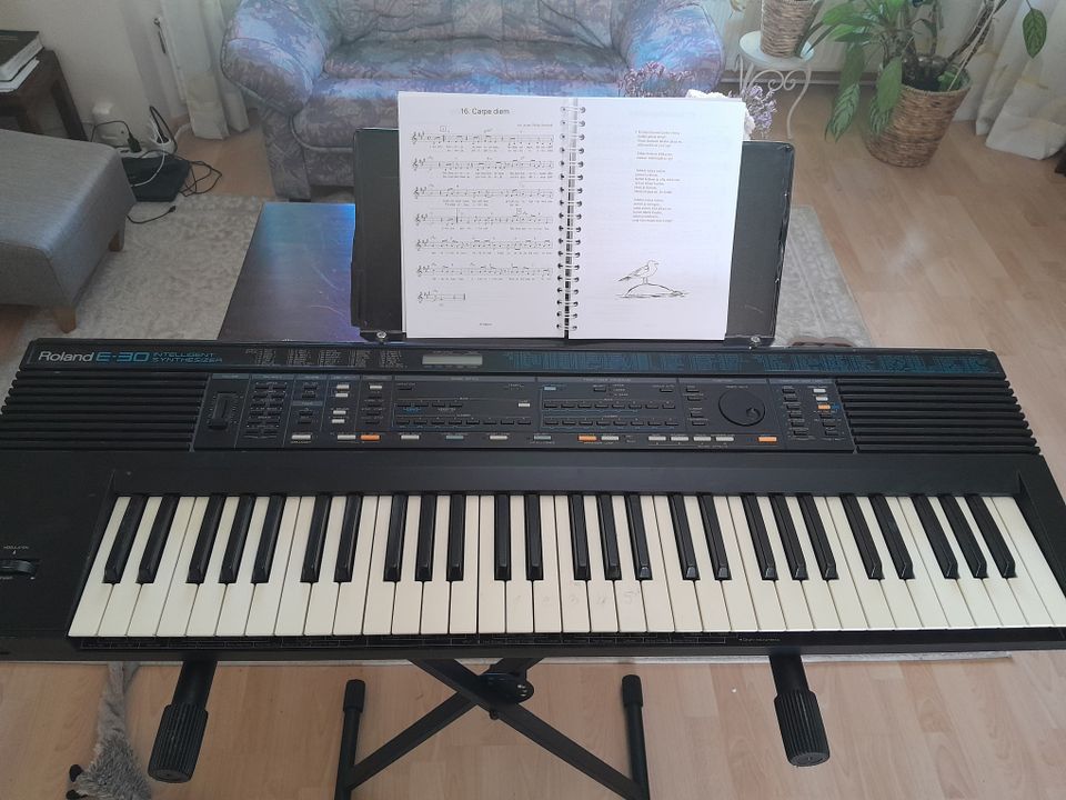 Roland E-30