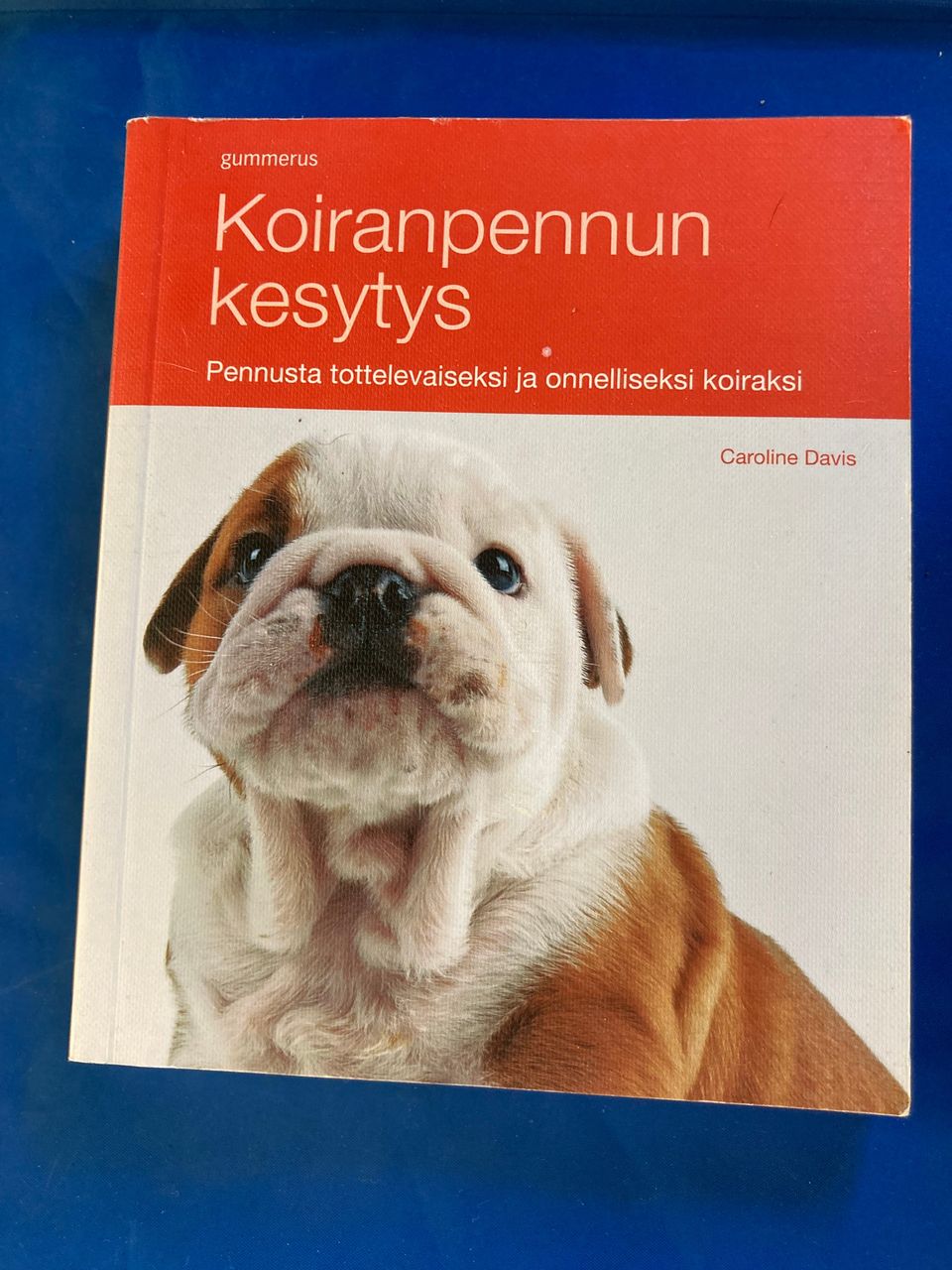 Kirja Koiranpennun kesytys