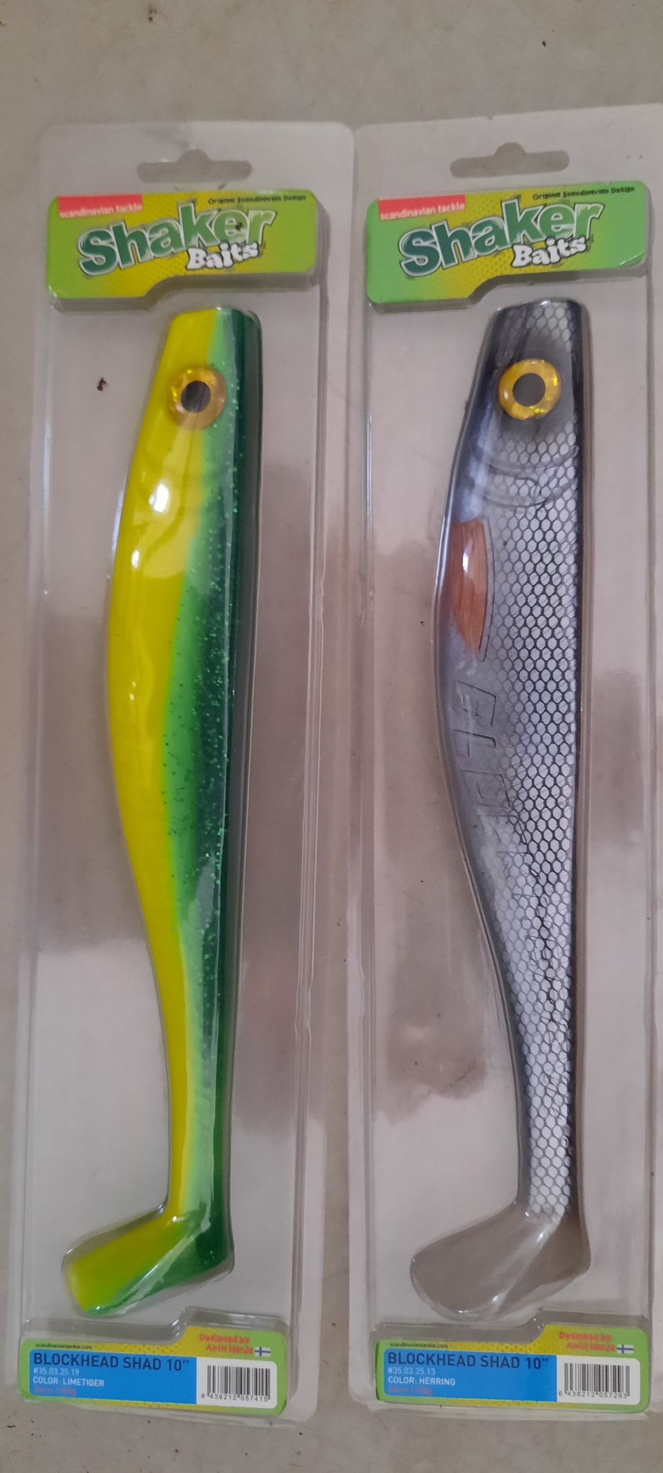 Blockhead shad