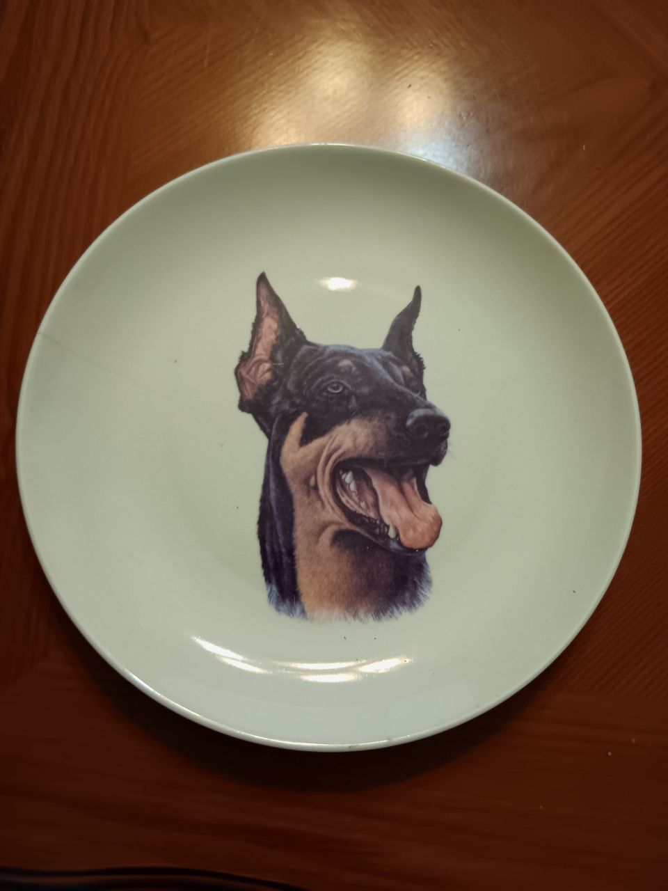 Doberman lautanen