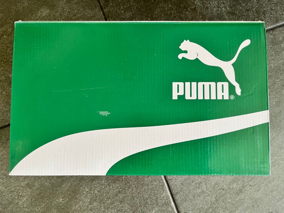 Puma tennarit