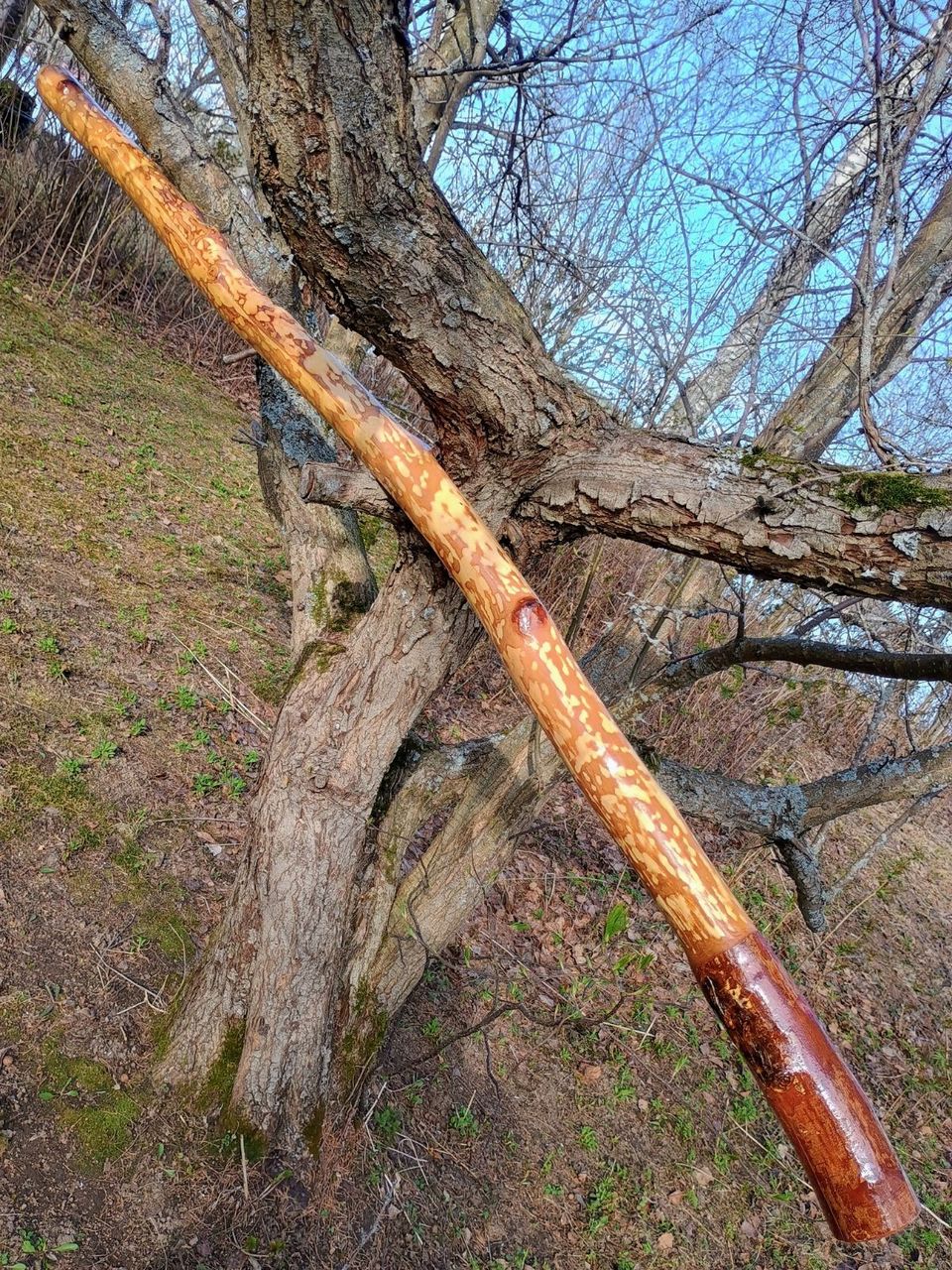 Didgeridoo