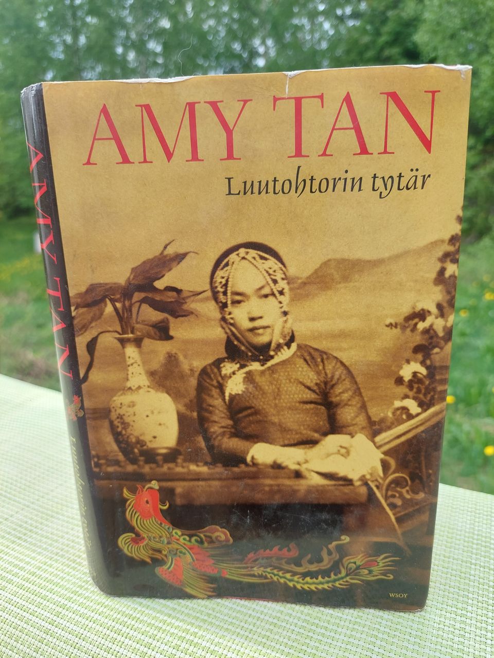 Amy Tan: Luutohtorin tytär