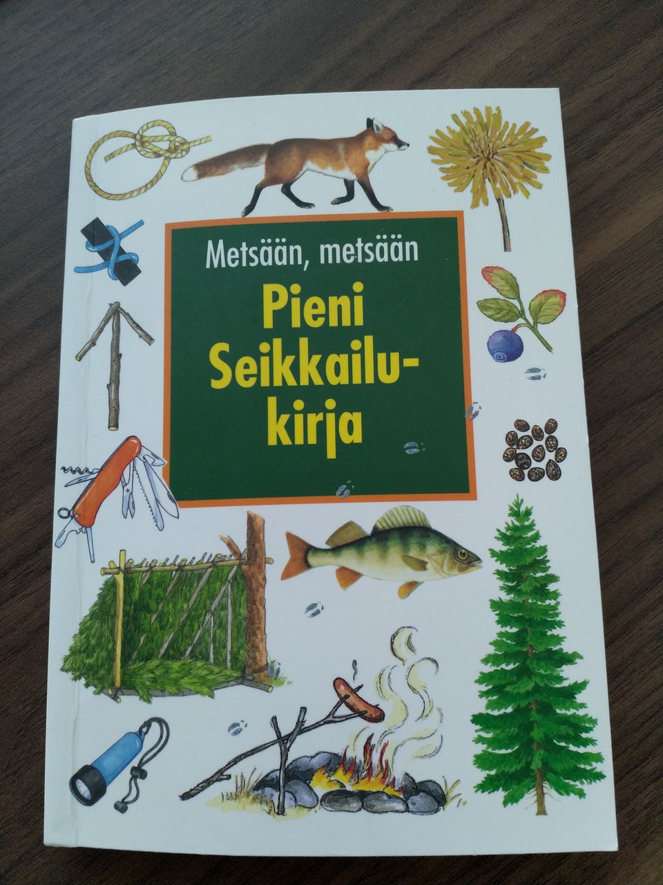 Pieni seikkailukirja