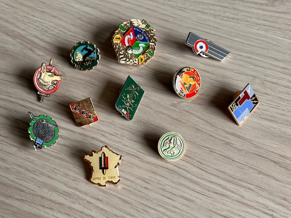 11 French Army pin's