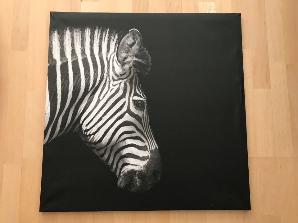 Seepra kuva/Picture of a Zebra printed on canvas