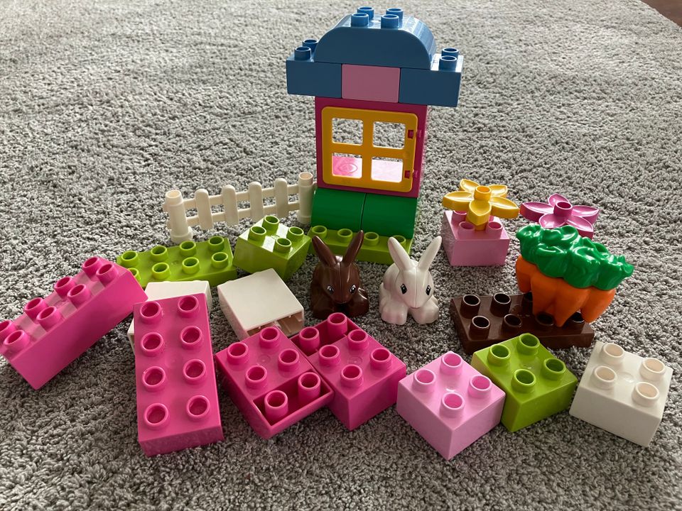 Lego Duplo pinkit palikat 4623