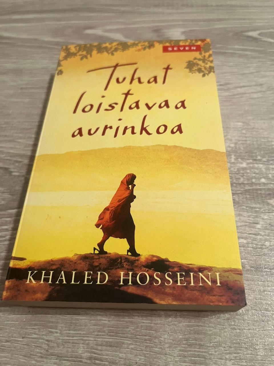 Khaled Hosseini - Tuhat loistavaa aurinkoa