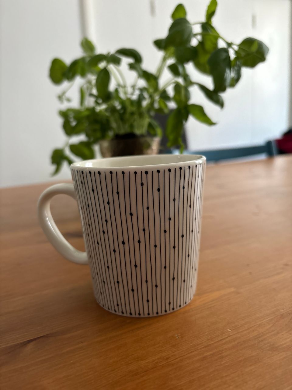 Iittala Mainio 0,3dl muki