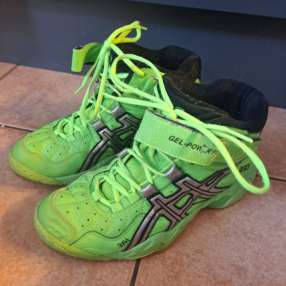 Asics sisäpelikengät 39,5 (25.0 cm)