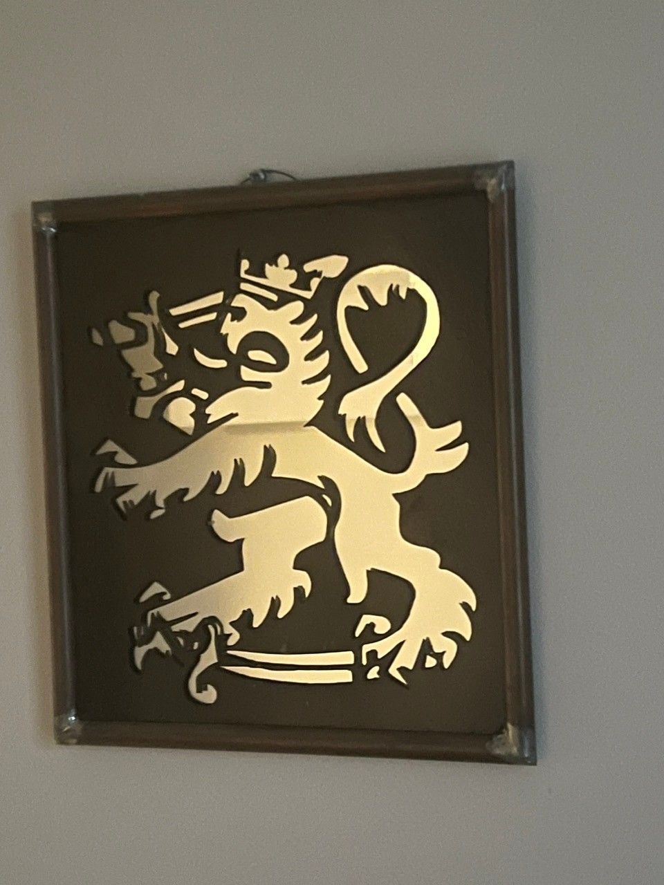 Suomen leijonapeili