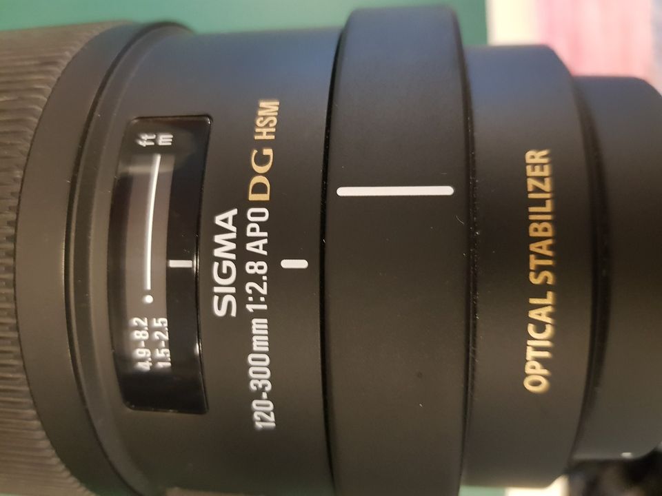 Sigma  120-300 + 1.4 telejatke 1:2.8 APO DG HSM (Canon)